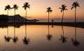 Sunrise over ocean with palm trees in Waikiki Hawaii Royalty Free Stock Photo