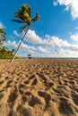 Sunrise over palm on Las Olas beach, Fort Lauderdale, Florida, United States of America Royalty Free Stock Photo