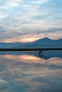 Sunrise over partially submerged dead tree branches in Lake Isabella in the Sierra Nevada mountains in central California USA