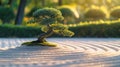 Sunrise over Peaceful Japanese Zen Garden. Resplendent. Royalty Free Stock Photo