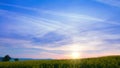 Sunrise over the Rapeseed Field. Time Lapse UHD