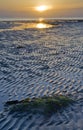 Sunrise over Reculver Royalty Free Stock Photo