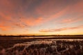 Sunrise Over the Refuge Royalty Free Stock Photo