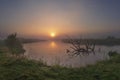 Sunrise over river. Summer nature landscape. Reflection of sun in water. Wild nature landscape Royalty Free Stock Photo