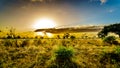 Sunrise over the savanna and grass fields in central Kruger National Park Royalty Free Stock Photo