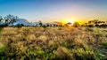 Sunrise over the savanna and grass fields in central Kruger National Park Royalty Free Stock Photo