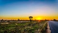 Sunrise over the savanna and grass fields in central Kruger National Park Royalty Free Stock Photo