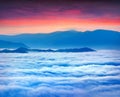 Sunrise over the sea of fog in mountains at the summer