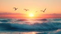 Sunrise over seagulls flying. Coastal sunrise scene Royalty Free Stock Photo