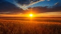 Sunrise over serene countryside vibrant wheat fields and fluffy white clouds on clear blue sky Royalty Free Stock Photo