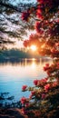 Sunrise Over A Serene Lake With Pink Flowers