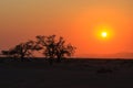 Sunrise over Sossusvlei, the Namib-Naukluft National Park of Namibia Royalty Free Stock Photo