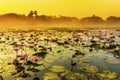 Sunrise over a spring lake with lilies Royalty Free Stock Photo