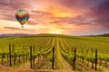 Sunrise over Spring Wine Vineyards and Hot Air Balloon