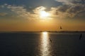 Sunrise over the Strait, seagull over the sea Royalty Free Stock Photo