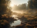 Sunrise over a stream in a misty forest Royalty Free Stock Photo