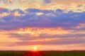 Sunrise over summer corn field Royalty Free Stock Photo