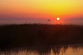 Sunrise over swamps Royalty Free Stock Photo