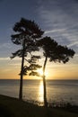 Sunrise over Torbay Royalty Free Stock Photo