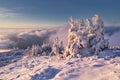 Sunrise over trees under snow near Durkova in Nizke Tatry mountains Royalty Free Stock Photo