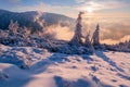 Sunrise over trees under snow near Durkova in Nizke Tatry mountains Royalty Free Stock Photo