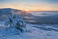 Sunrise over trees under snow near Durkova in Nizke Tatry mountains Royalty Free Stock Photo