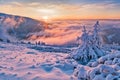 Sunrise over trees under snow near Durkova in Nizke Tatry mountains Royalty Free Stock Photo