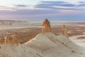 Sunrise over Ustyurt Plateau. District of Boszhir. The bottom of a dry ocean Tethys. Rocky remnants. Kazakhstan. selective focus Royalty Free Stock Photo