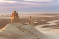 Sunrise over Ustyurt Plateau. District of Boszhir. The bottom of a dry ocean Tethys. Rocky remnants. Kazakhstan. selective focus Royalty Free Stock Photo