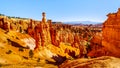 Sunrise over the Vermilion colored Pinnacles, Hoodoos and Amphitheaters along the Navajo Loop Trail in Bryce Canyon National Park Royalty Free Stock Photo