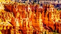 Sunrise over the Vermilion colored Pinnacles, Hoodoos and Amphitheaters along the Navajo Loop Trail in Bryce Canyon National Park Royalty Free Stock Photo