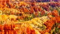 Sunrise over the Vermilion colored Pinnacles, Hoodoos and Amphitheaters along the Navajo Loop Trail in Bryce Canyon National Park Royalty Free Stock Photo