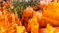 Sunrise over the Vermilion colored Pinnacles, Hoodoos and Amphitheaters along the Navajo Loop Trail in Bryce Canyon National Park Royalty Free Stock Photo