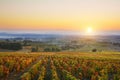 Sunrise over vineyards of Beaujolais during autumn season Royalty Free Stock Photo