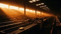 Sunrise over a warehouse conveyor belt system Royalty Free Stock Photo