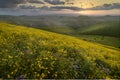 Sunrise over wild flower covered slops