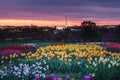 Sunrise Overlooking Washington DC