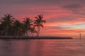 Florida Keys Pink Sunrise Palm Trees Tropical Ocean Landscape