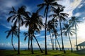 Sunrise with palm trees in Salt Pond Beach Park