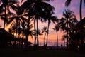 Sunrise with palm trees