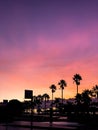 Sunrise Palms in heaven Royalty Free Stock Photo