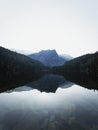 Sunrise panorama mirror reflection view of alpine forest mountain lake Piburger See Oetztal Alps Tyrol Austria Europe Royalty Free Stock Photo