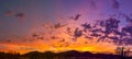 Sunrise panorama over the sonoran desert Royalty Free Stock Photo