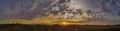 Sunrise panorama in the sonoran desert Royalty Free Stock Photo