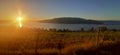 Sunrise at a Peachland Vineyard