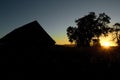 Sunrise peeking through the trees on the farm