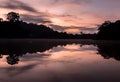 Sunrise photography reflecting river kinabatangan in borneo sabah