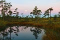 sunrise picture with a gorgeous sky, a marsh at sunrise, a moon setting in the sky, dark silhouettes of marsh trees in the morning