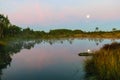 sunrise picture with a gorgeous sky, a marsh at sunrise, a moon setting in the sky, dark silhouettes of marsh trees in the morning