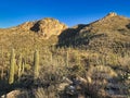 Sunrise Pima Canyon trail in the Santa Catalina Mountains Tucson Arizona USA Royalty Free Stock Photo